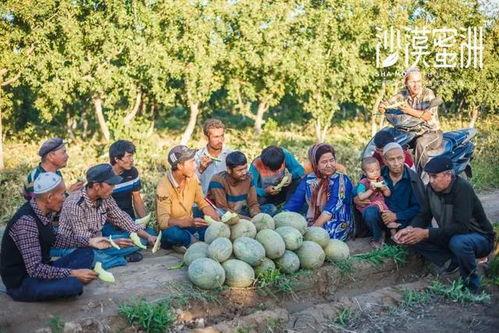 吃瓜网红事件大妈,揭秘网络舆论背后的真相