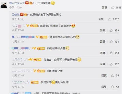 娱乐吃瓜酱评论区